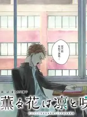声浪现场音乐综艺免费在线观看